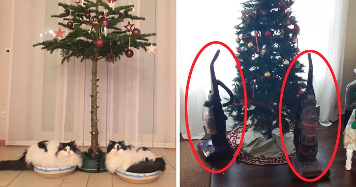 Genius People Who Found A Way To Protect Their Christmas Trees From
